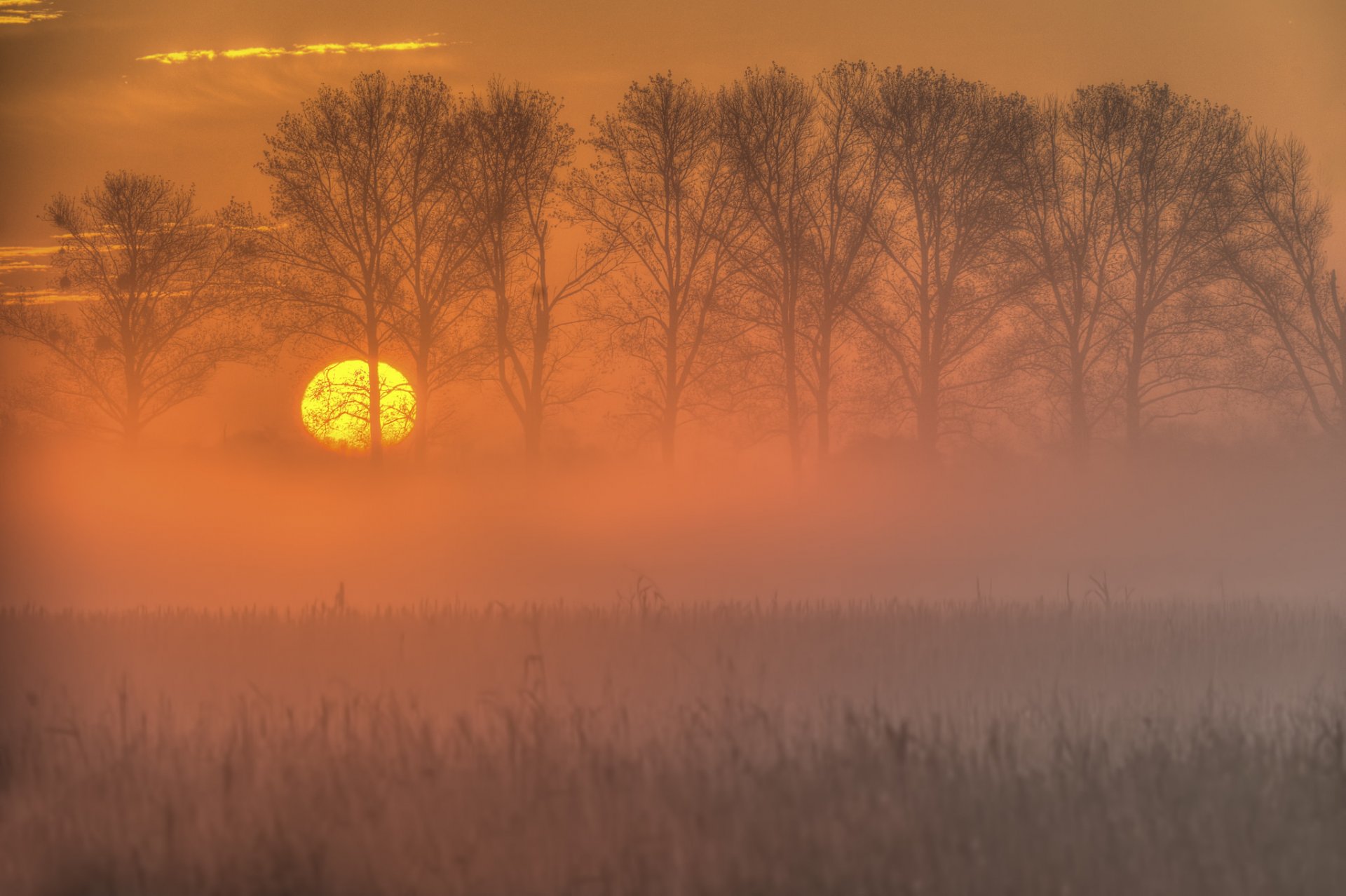 ciel soleil coucher de soleil arbres champ automne