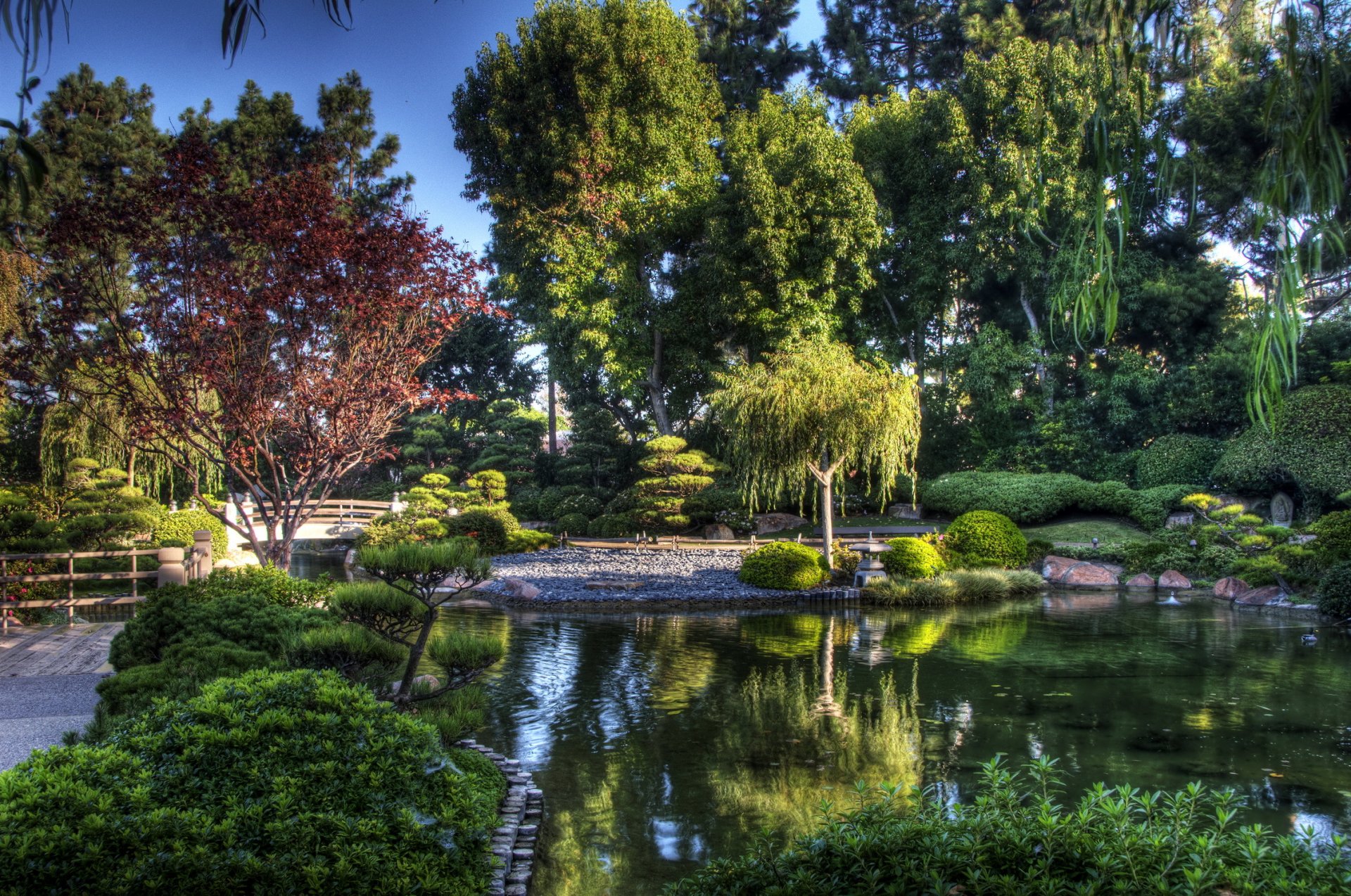 california usa garden japanese trees bridge pond stone