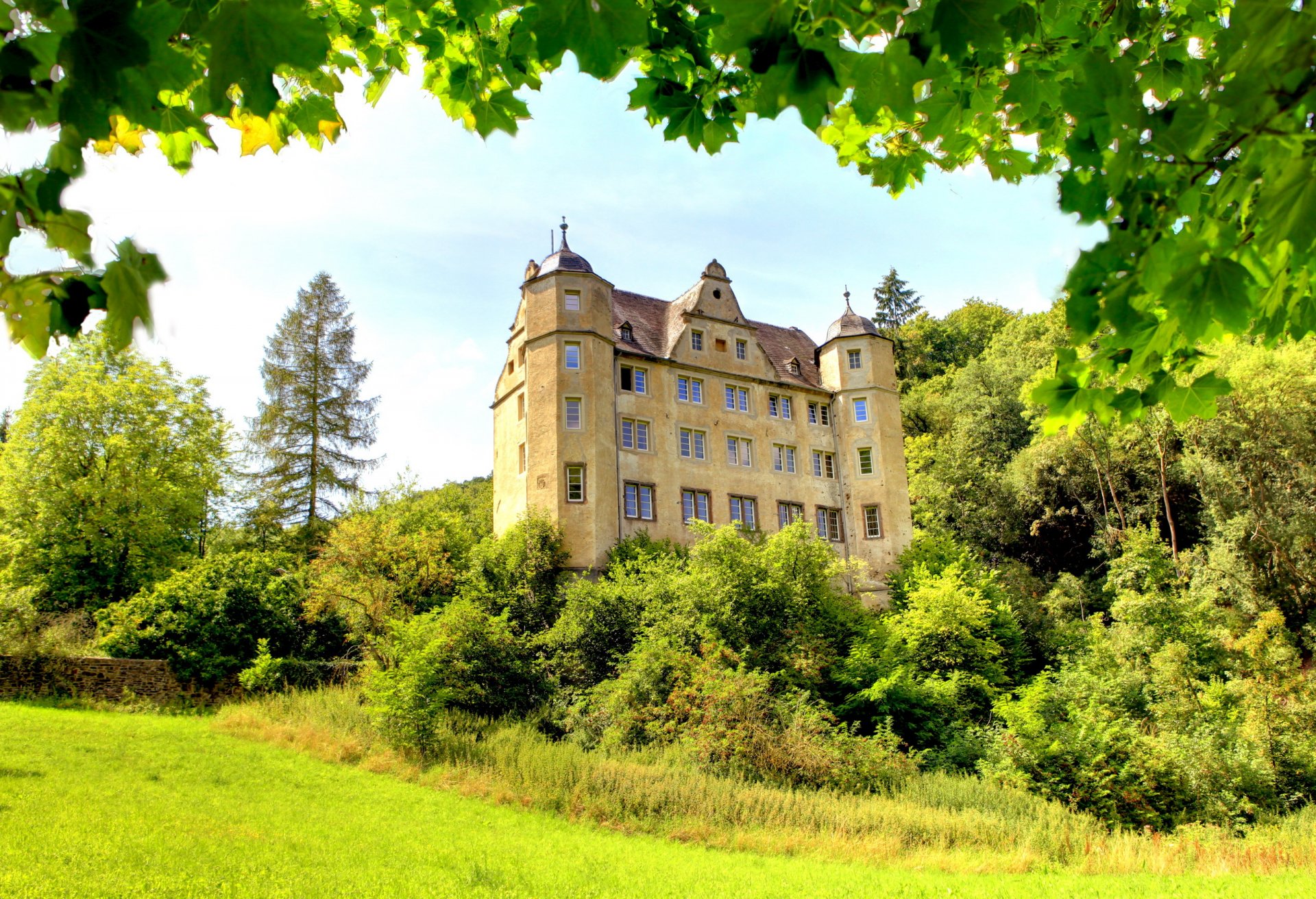 germany castle green grass bush tree branches foliage