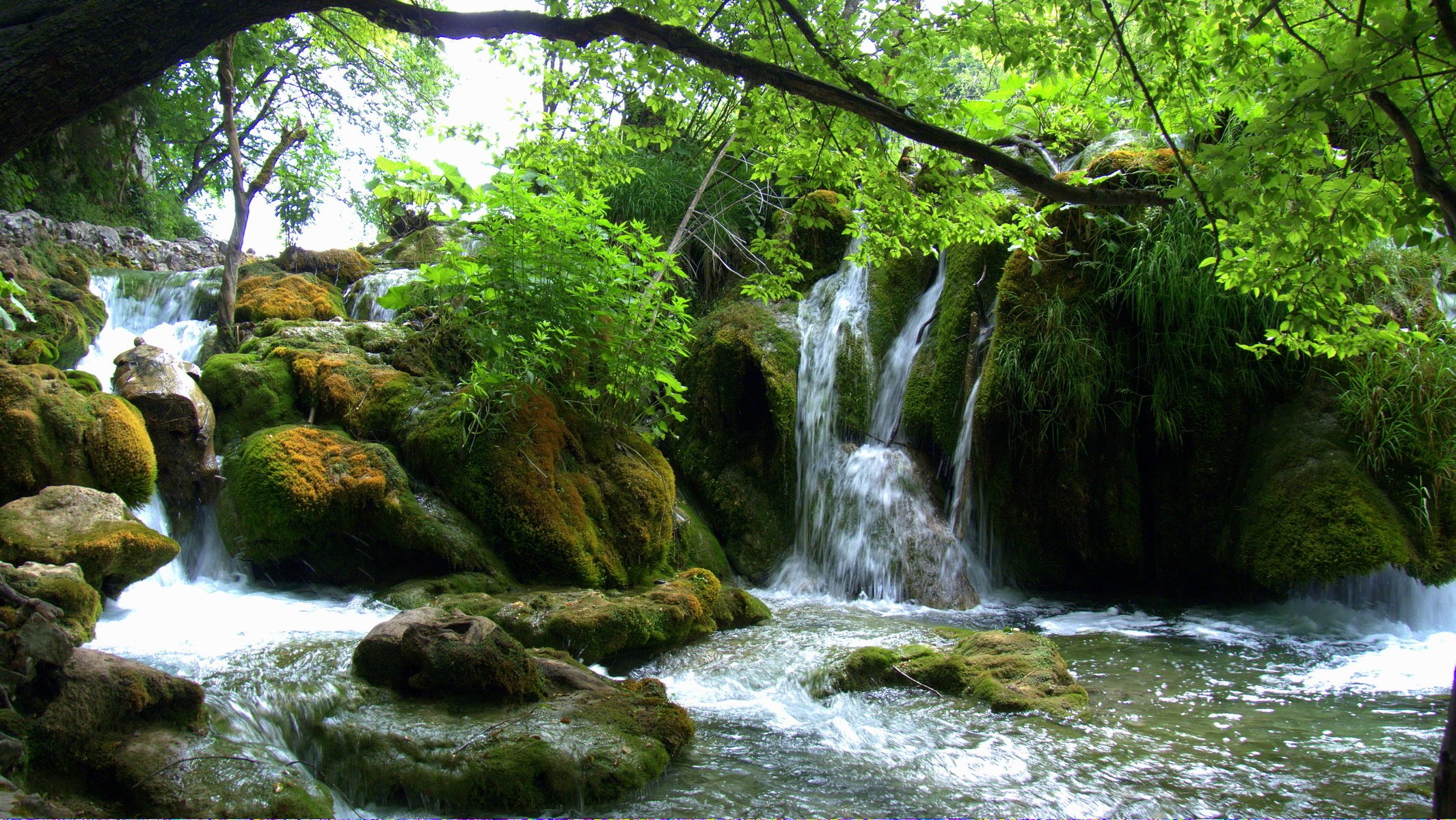 cascades lacs de plitvice croatie pierres mousse verdure branches feuilles