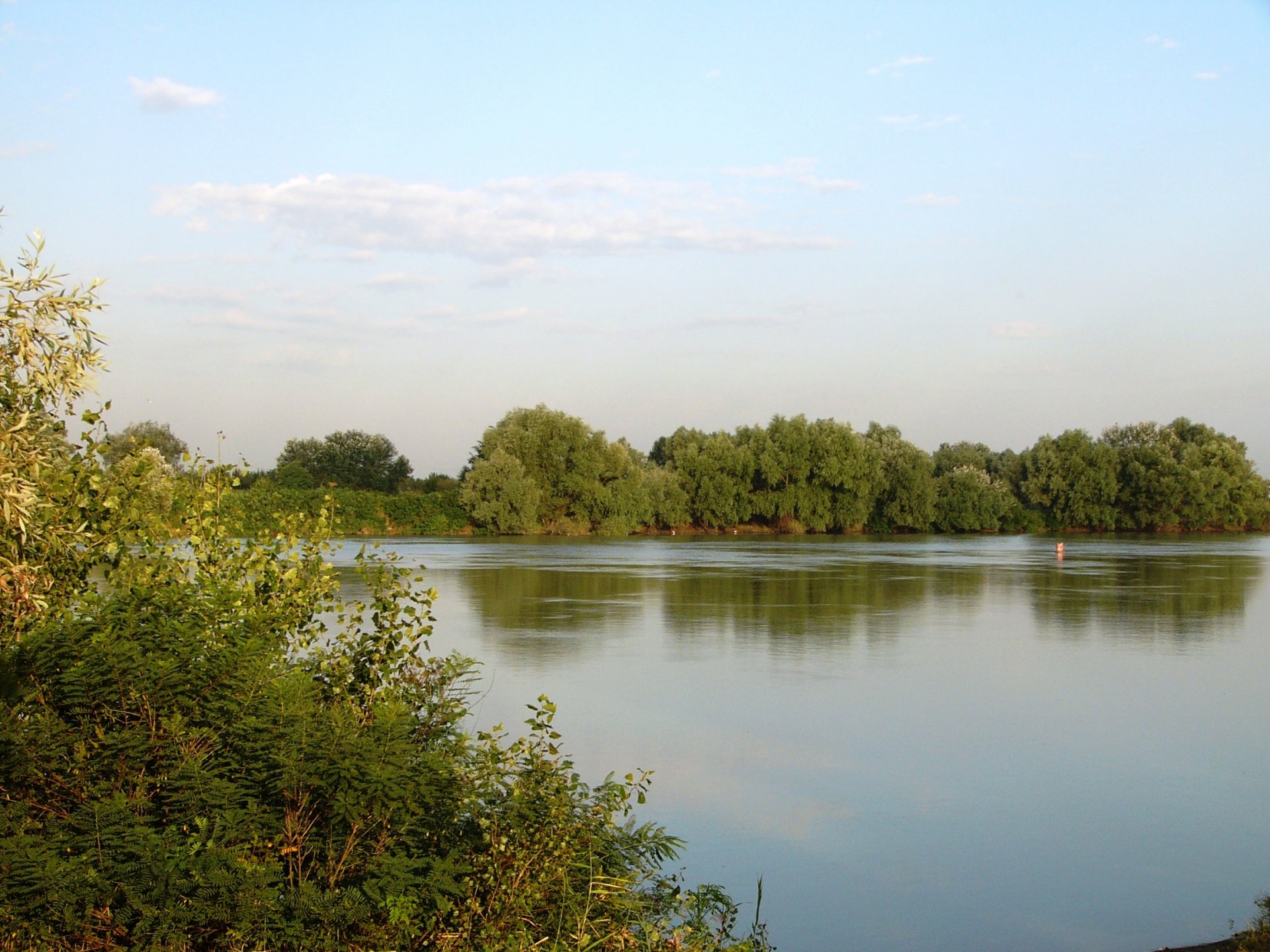 salici fiume kuban estate