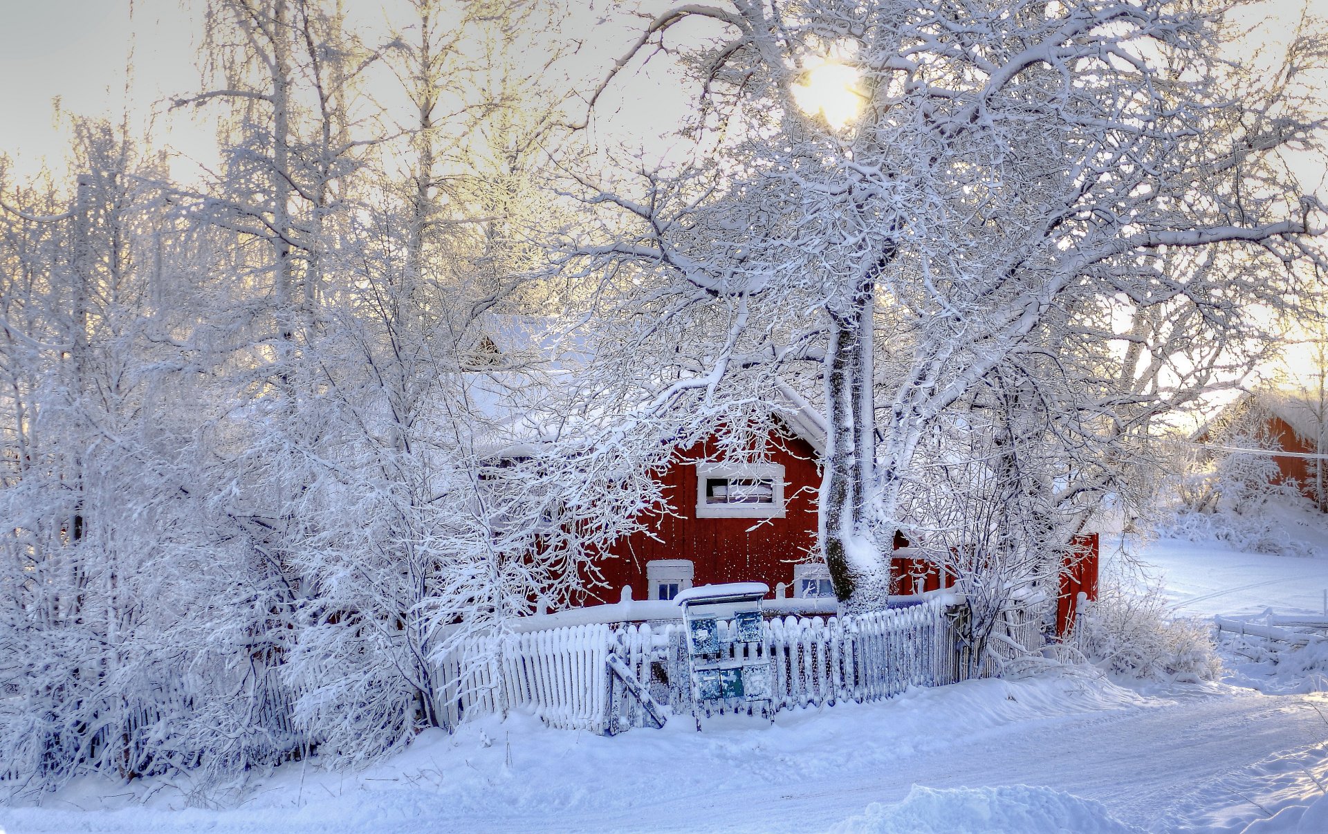 inverno alberi neve casa natura foto