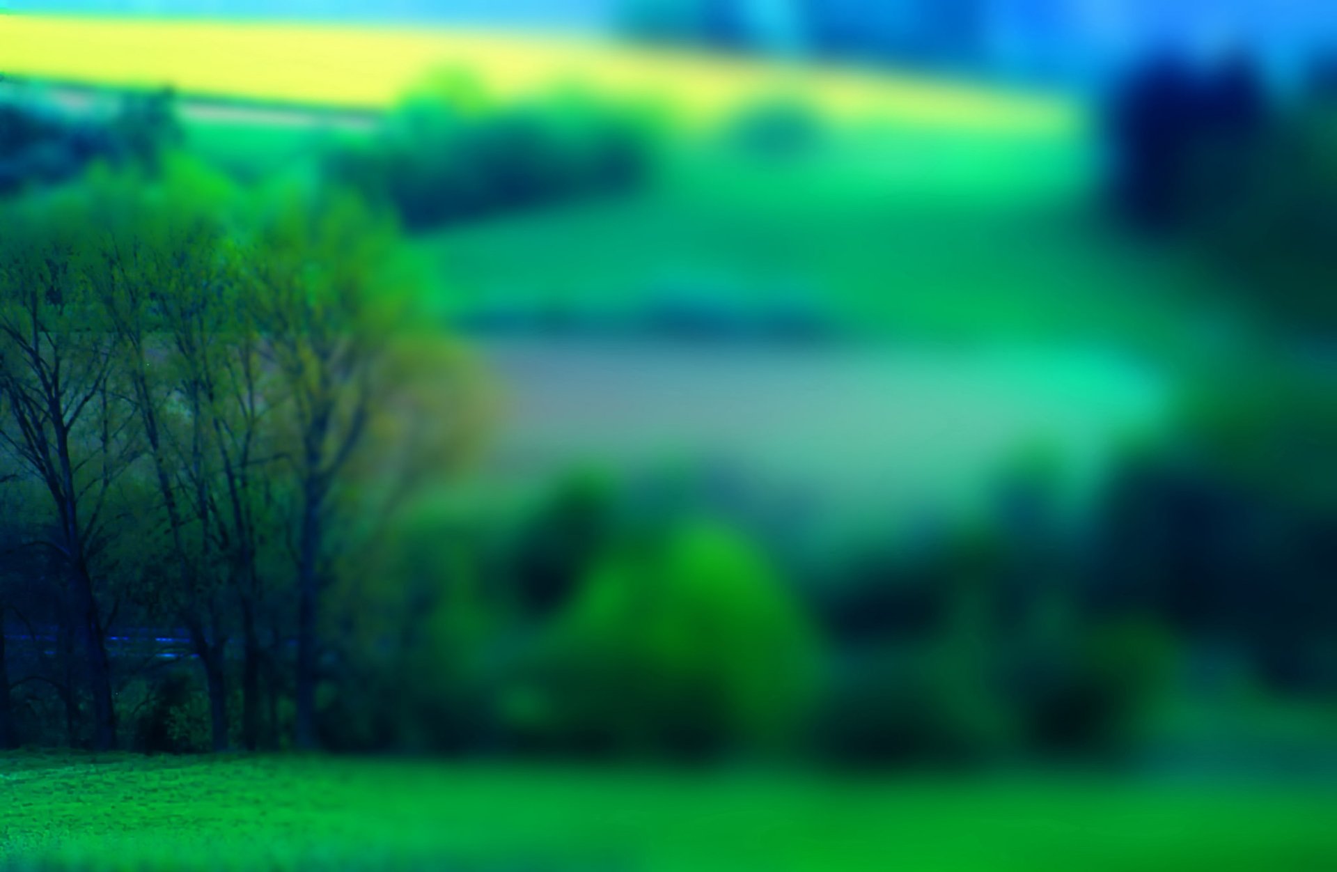 feld gras bäume landschaft