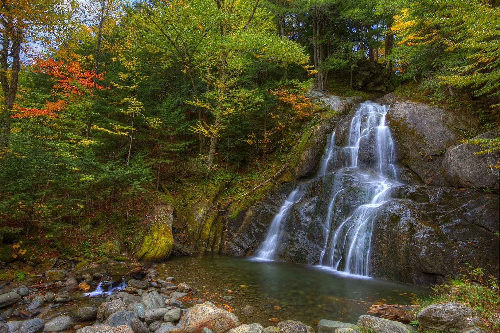 foresta alberi autunno roccia pietre cascata