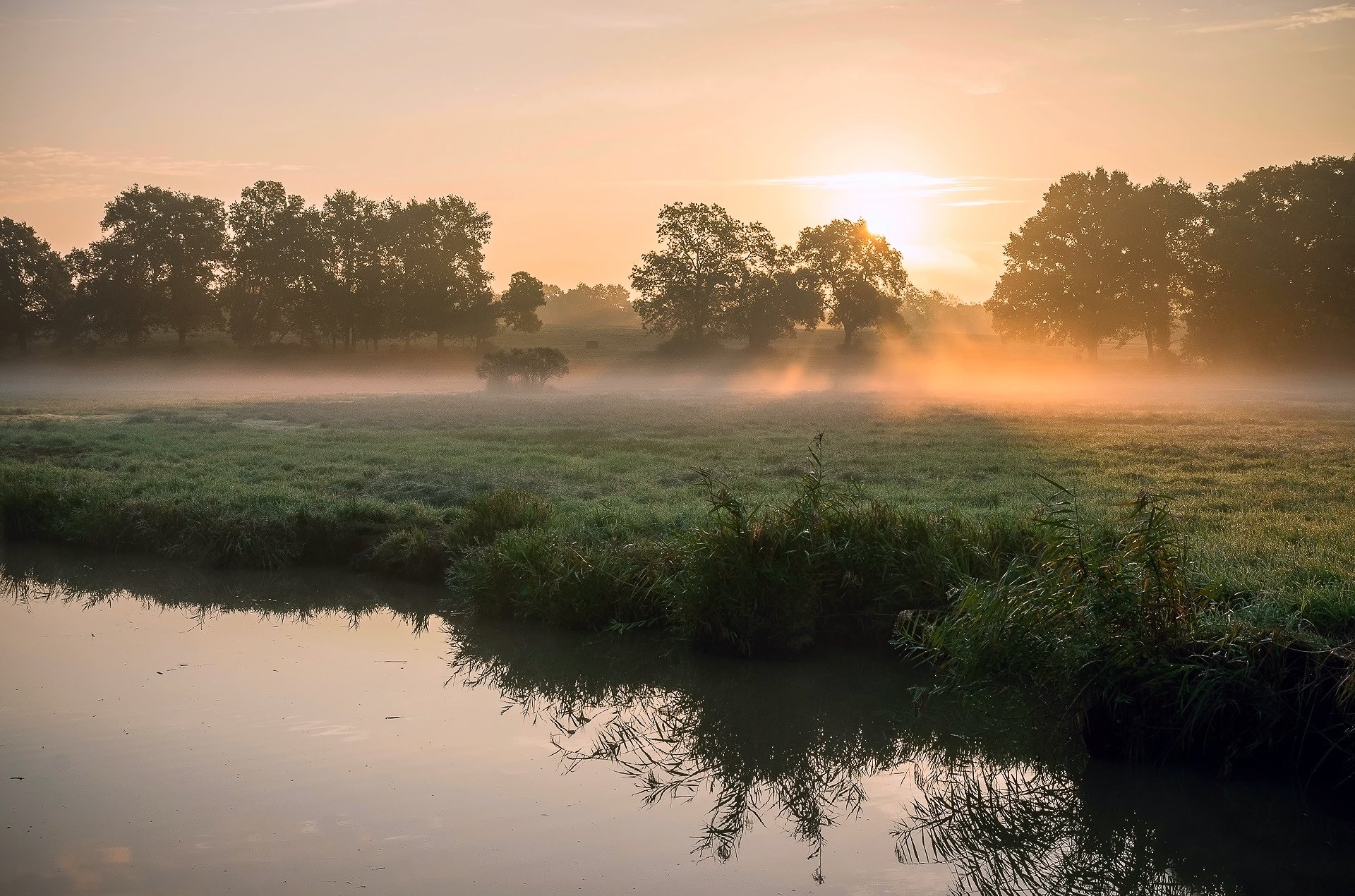 printemps matin rivière roseau herbe rosée brouillard lumière soleil soleil rayons arbres