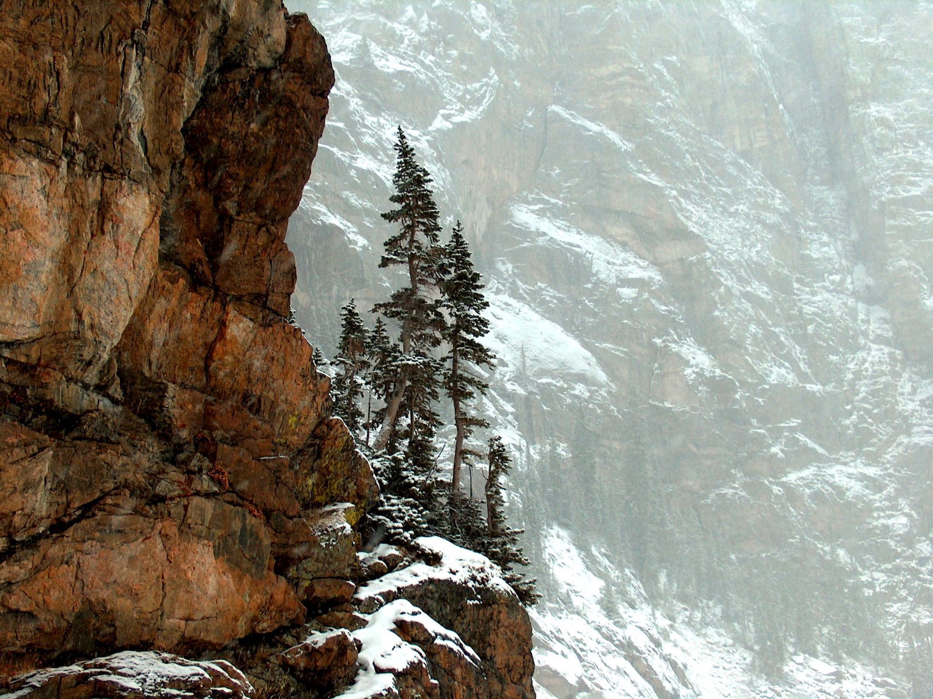 berge klippen bäume natur rocky mountains national park colorado