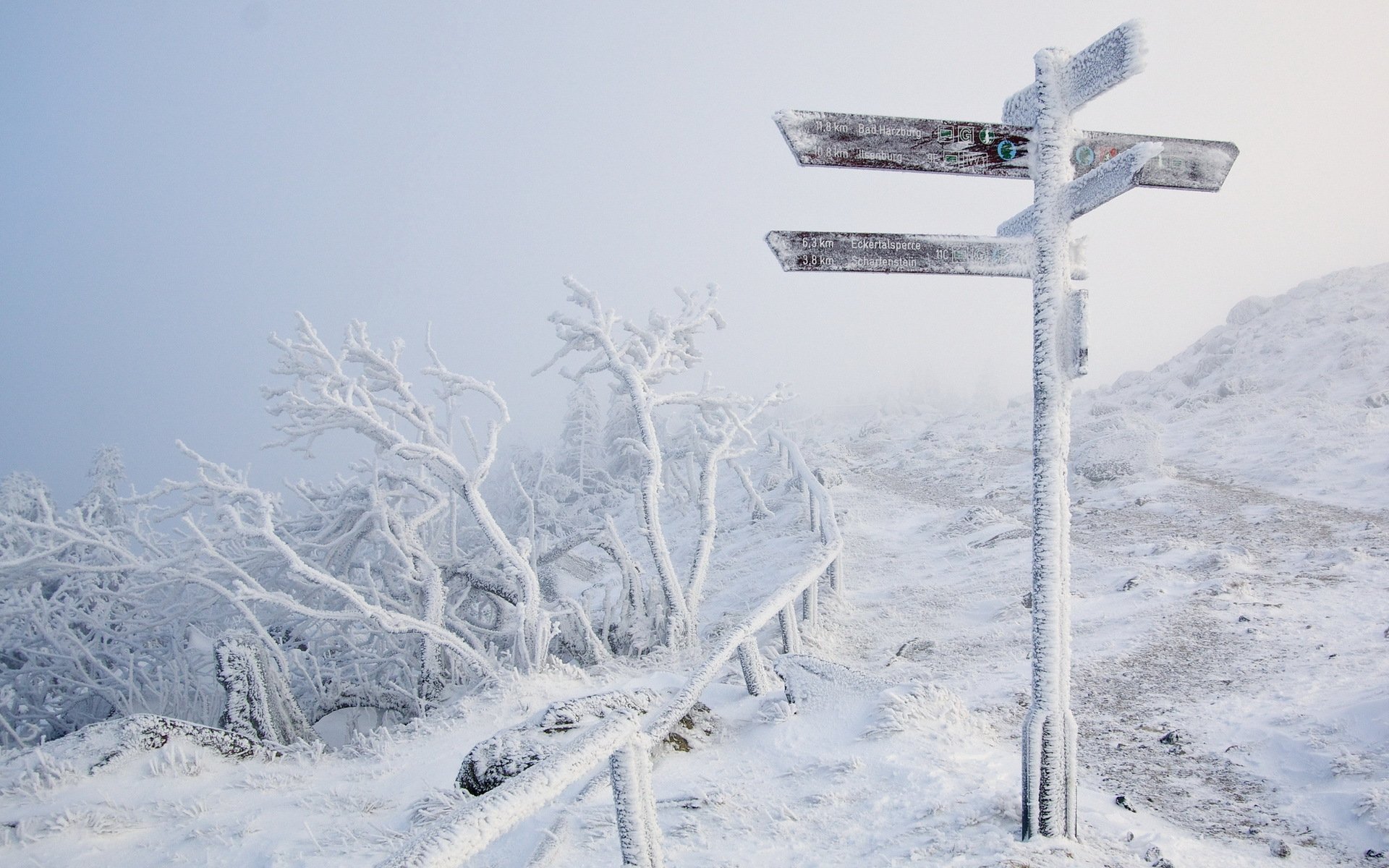 straße zeichen frost