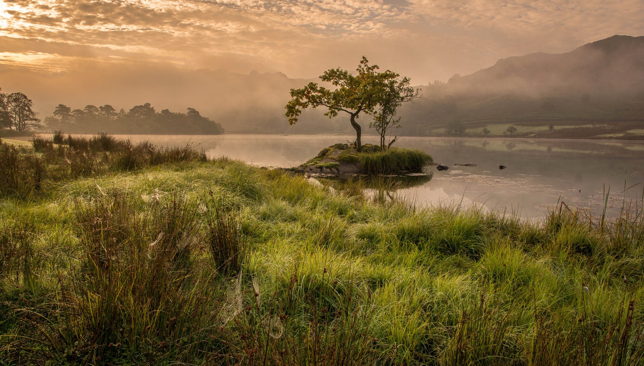 inglaterra lago mañana hierba montañas árboles niebla