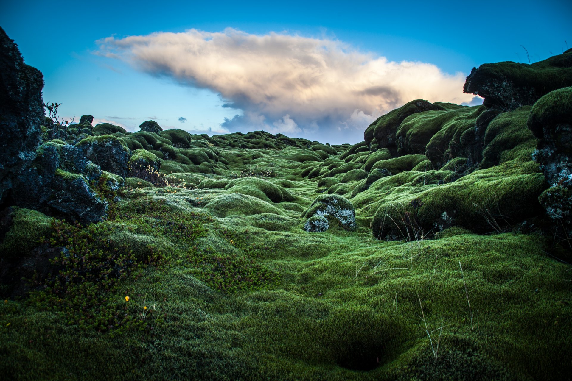 fotograf andrés nieto porras foto grün hügel moos trennung irland