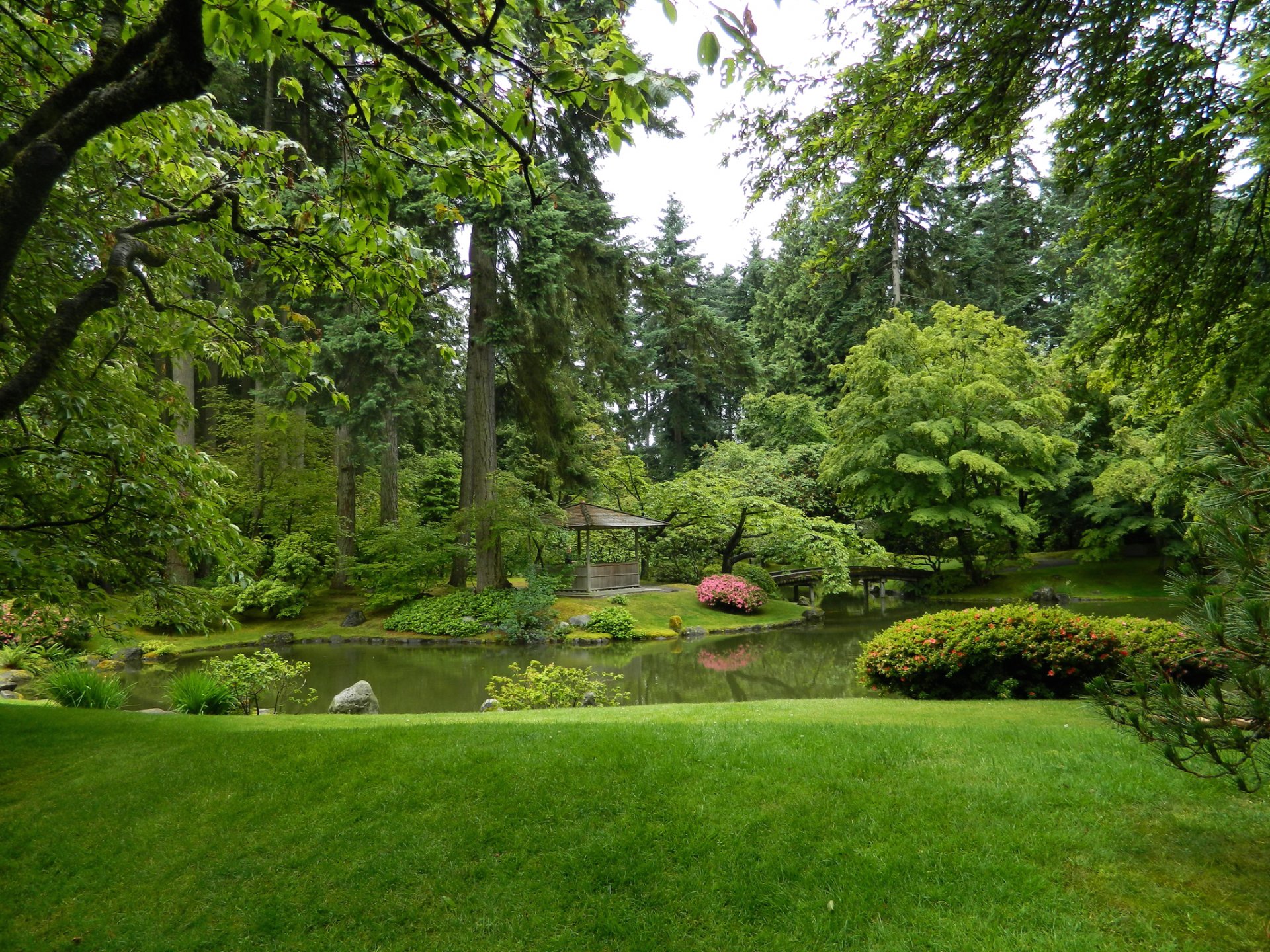 canada jardin nitobe vancouver jardin étang gazebo herbe buissons arbres verdure