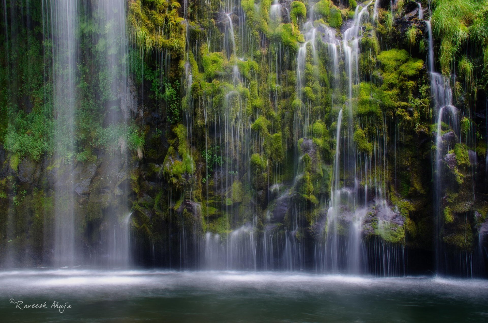 waterfall lake nature jungle forest plant