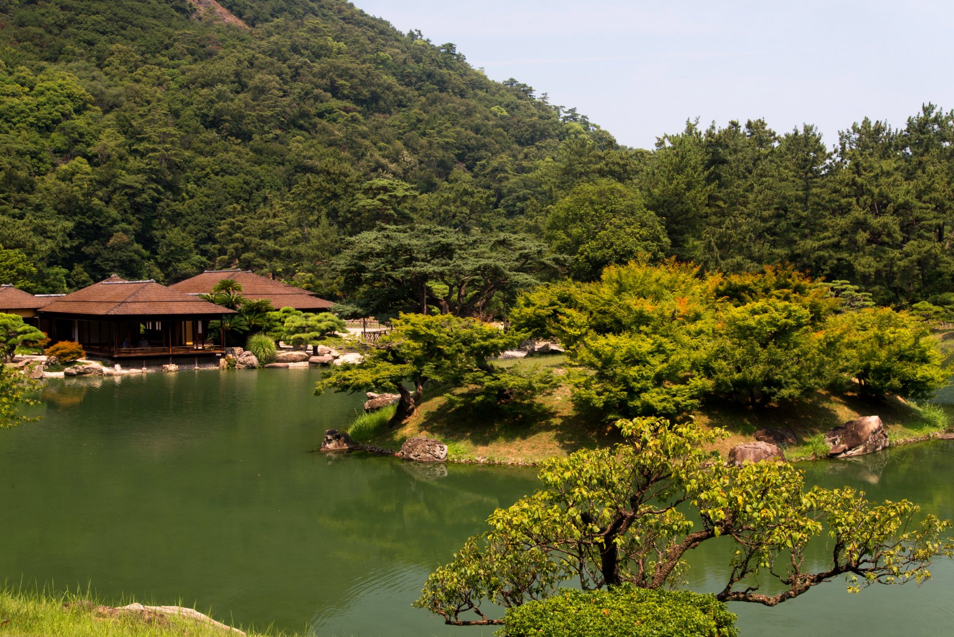 japon parc jardin takamatsu ritsurin étang buissons arbres verdure pergola