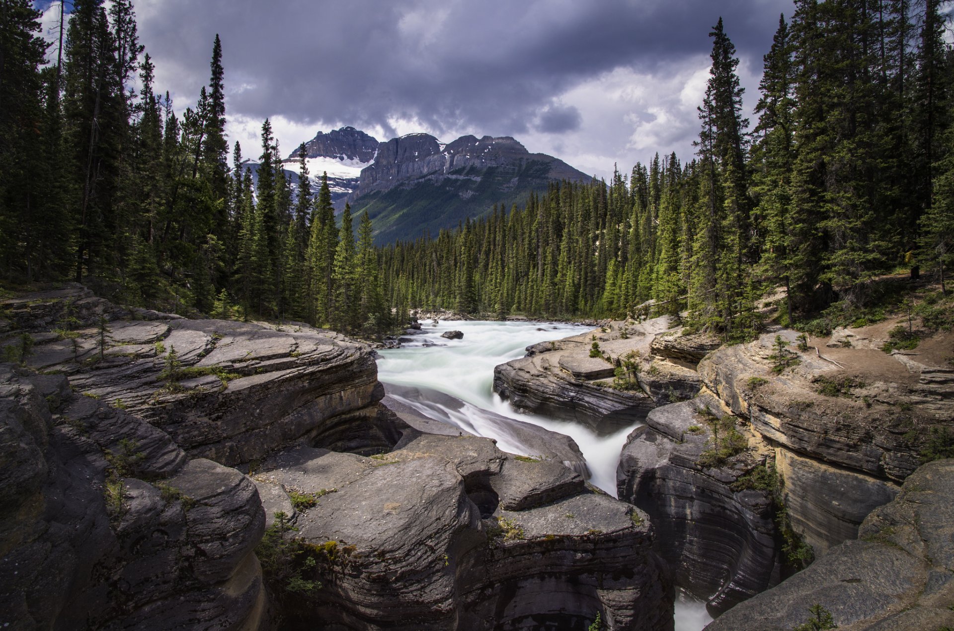 montagne foresta fiume cascata pietre mistaya canyon