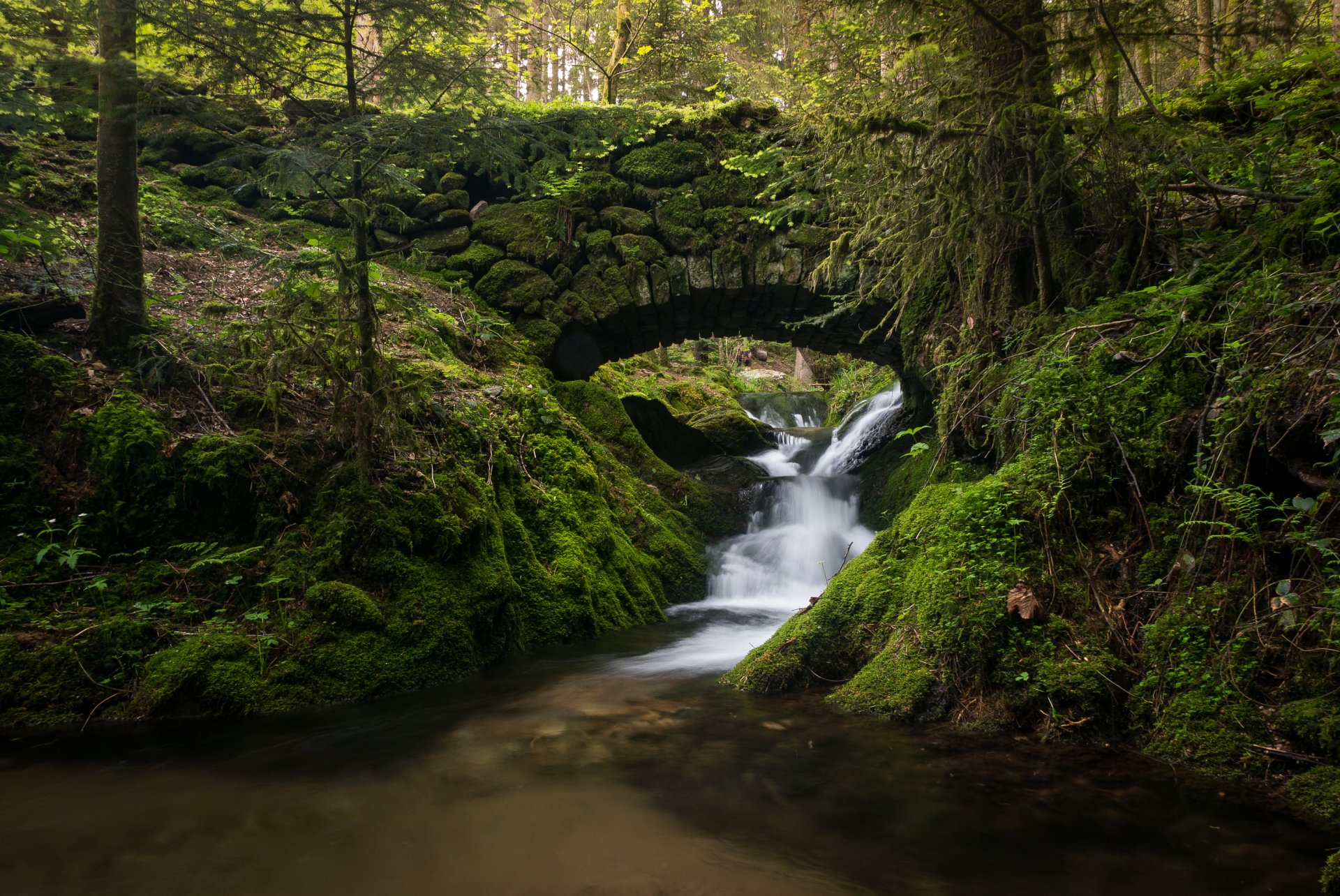 czarny las niemcy schwarzwald kaskada potok rzeka most las