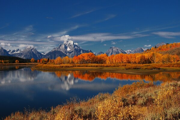 Mountain landscape with autumn forest