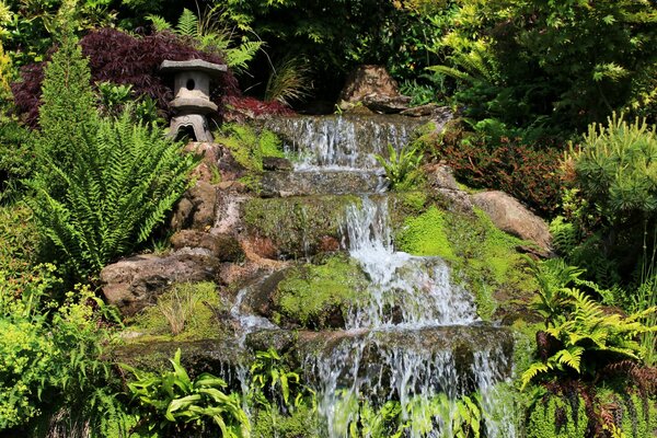 A small waterfall in a green garden