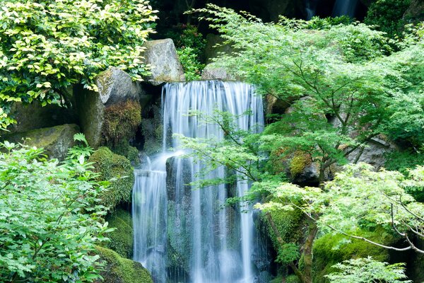 Waterfall in the rocks among the trees