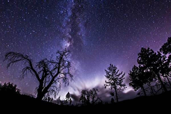 Photo of the starry sky. The Milky Way