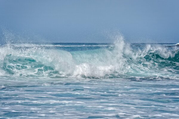 Ola oceánica frente a la costa de Maui