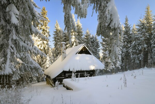 An old hut in the winter forest