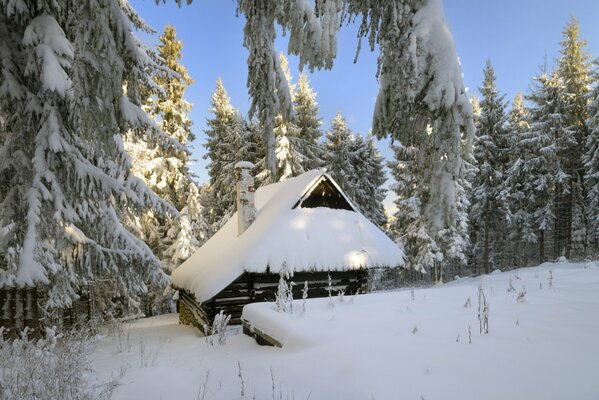 Vieja cabaña en el bosque de invierno