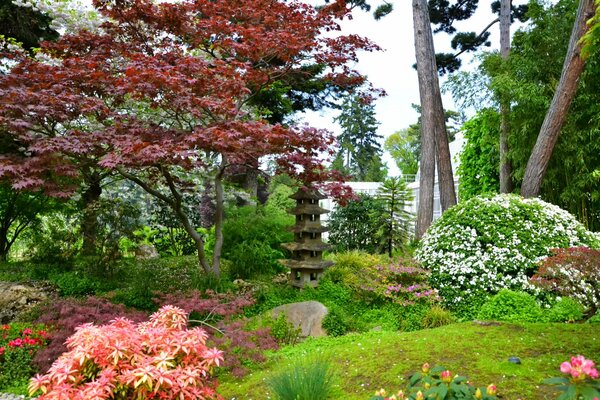 Japanische Gärten in Paris inmitten von Blumen, Büschen und Bäumen