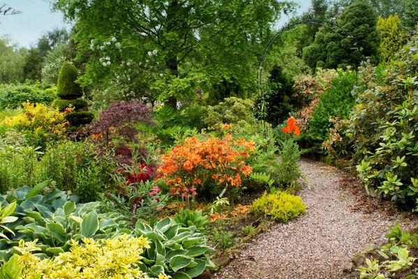 Ein Weg im blühenden Garten Großbritanniens