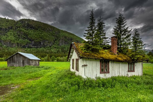 Schönheit und Helligkeit der norwegischen Natur
