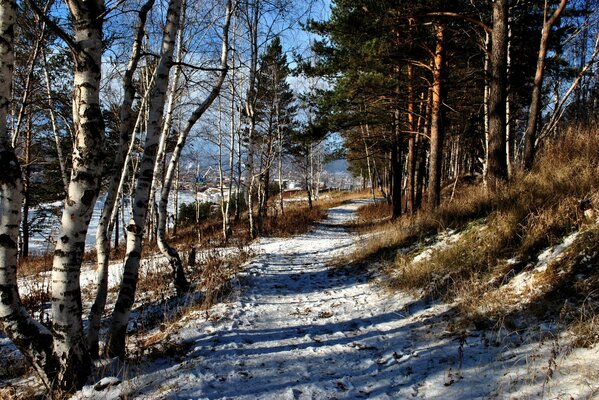 Ein Weg in den Wald mit dem Beginn des Winters