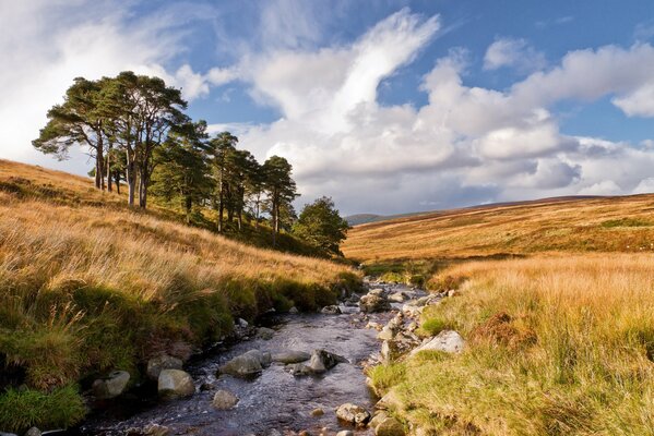 A fast stream among the hills