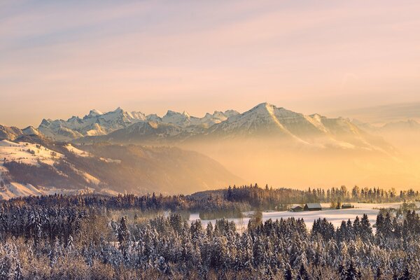 Foresta invernale e montagne