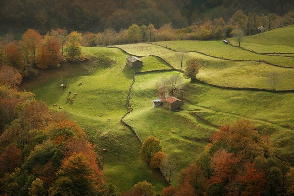 Green meadows and a couple of houses