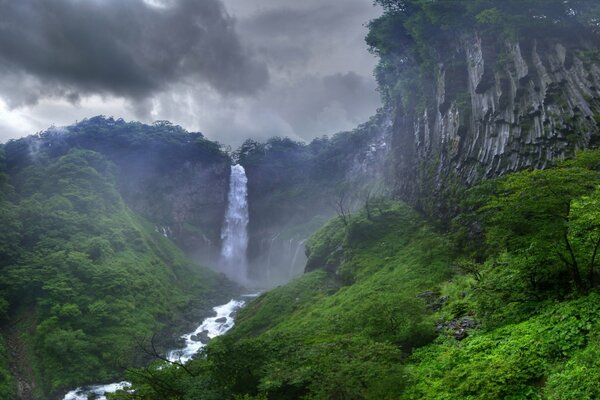 Waterfall in the jungle, and around the green rocks