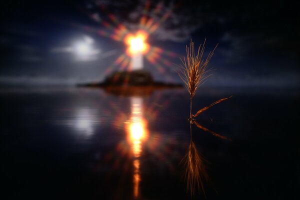 A spike illuminated by the light of a lighthouse at night