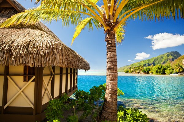 Tropical vacation. A hut on the shore. Summer vacation on the beach