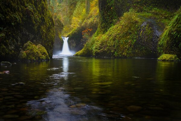 Waterfall in the forest among green trees. k