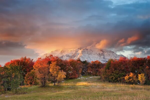 Bergkette in Wolken und umgeben von Herbstlaub