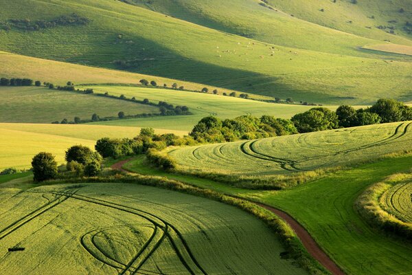 Felder im South Downs National Park im Sommer