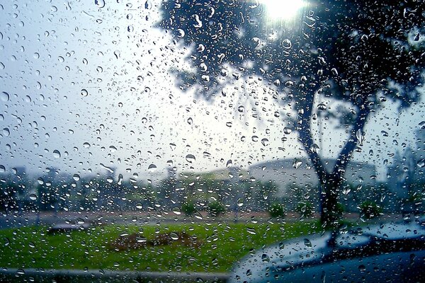 Gouttes de pluie sur le verre