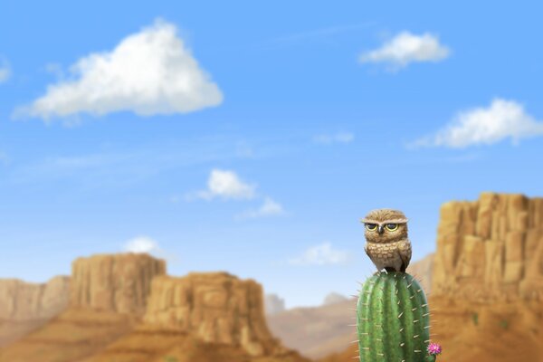 Un hibou ténébreux s assit sur des aiguilles de cactus