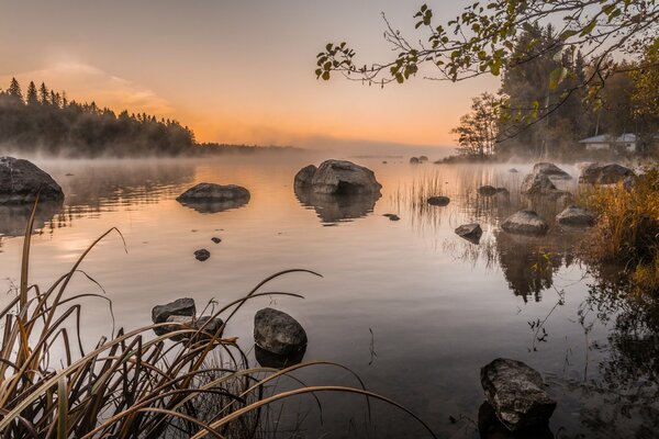 Piedras en el lago de la mañana en la niebla