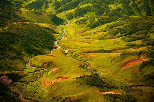 Valley of grass, greenery, riverbed and moss