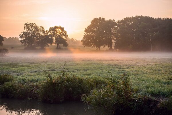 Sonnenstrahlen, die sich am Flussufer durch den Nebel schleichen