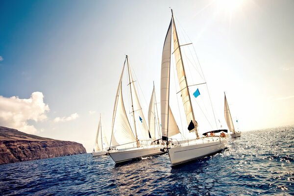 Yachts on the sunny beach