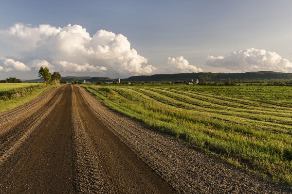 Campos agrícolas a lo largo de la carretera