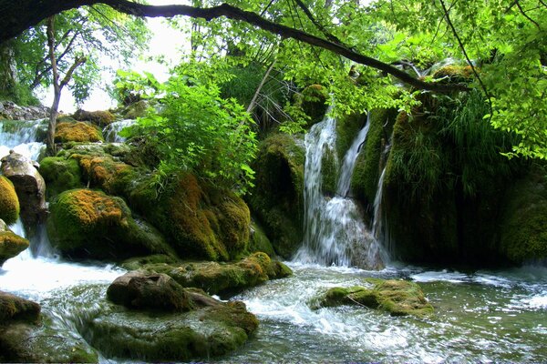 Lacs de Plitvice en Croatie