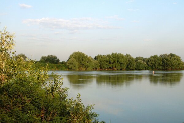 Nice weather by the river in summer