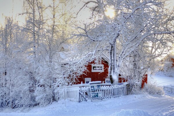 Maison dans la forêt d hiver photo