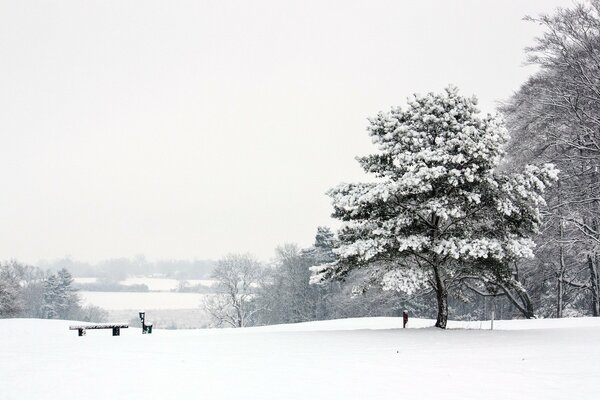 Eine Bank im Winter verschneiten Park