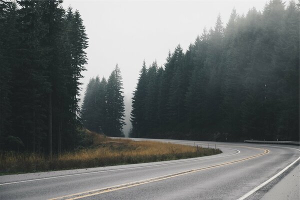 Дорога среди тумана над лесом